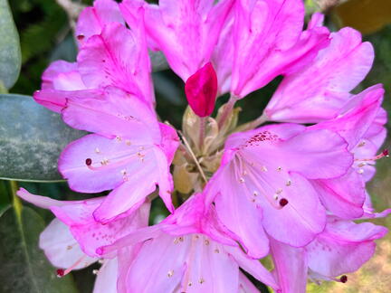 23-06-03 17-14-44 5820